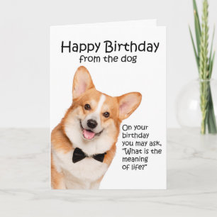 Remerciements Carte d'anniversaire de Funny Corgi