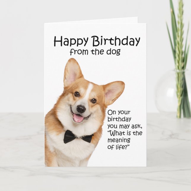 Remerciements Carte d'anniversaire de Funny Corgi (Devant)