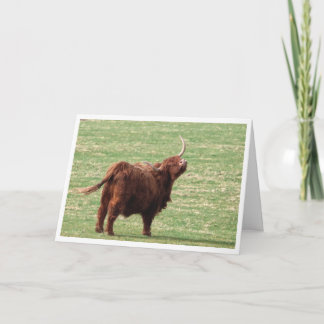 Remerciements Carte d'anniversaire de vache des Highlands