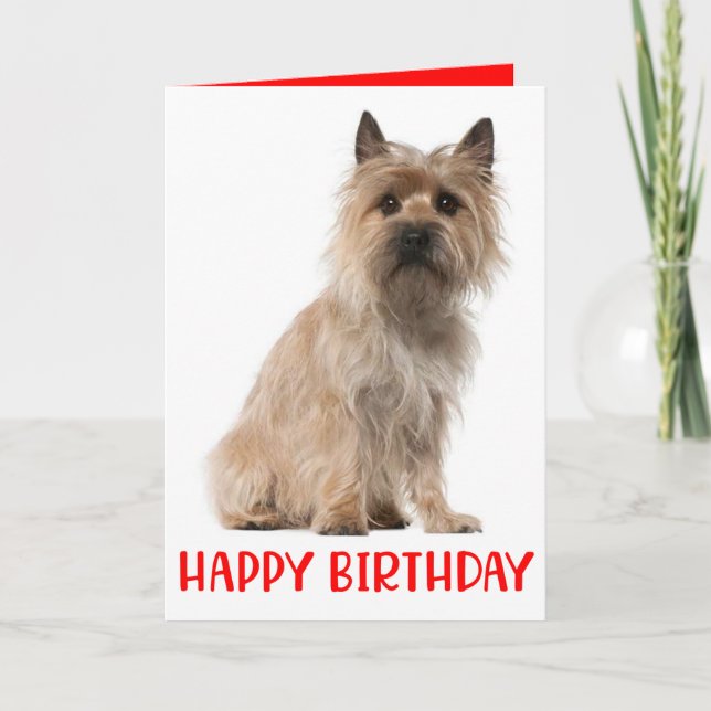 Remerciements Carte d'anniversaire du Chien Terrier de Cairn (Devant)