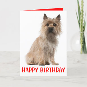 Remerciements Carte d'anniversaire du Chien Terrier de Cairn