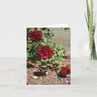 Remerciements Carte de billet Trio Rose antique