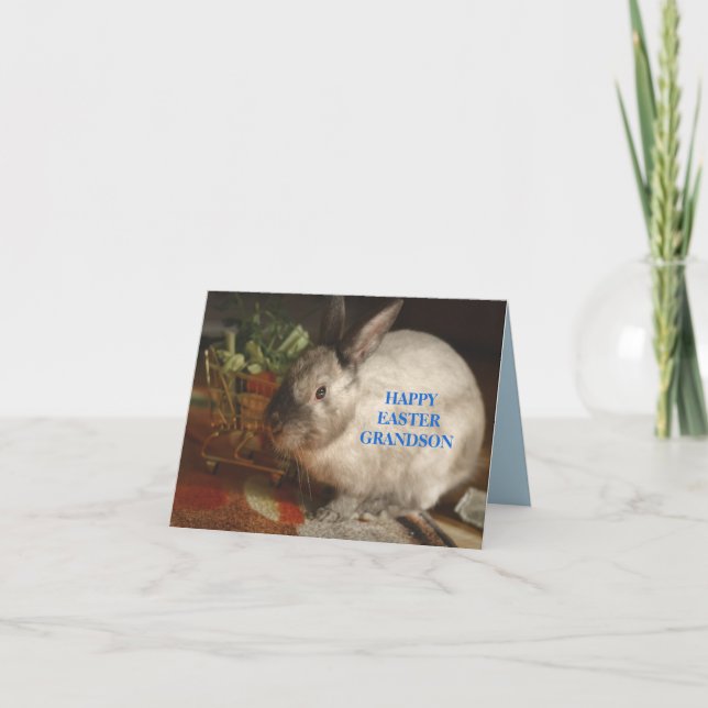 REMERCIEMENTS CARTE DE BUNNY DE PÂQUES POUR GRANDSON (Devant)