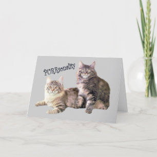 Remerciements Carte de chats PURRsonalité
