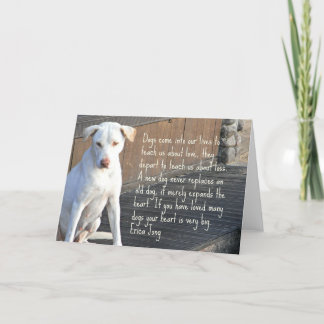 Remerciements Carte de citation de chien