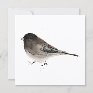 Remerciements Carte de Junco