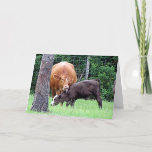 Remerciements Carte de la fête des mères Cow Lick
