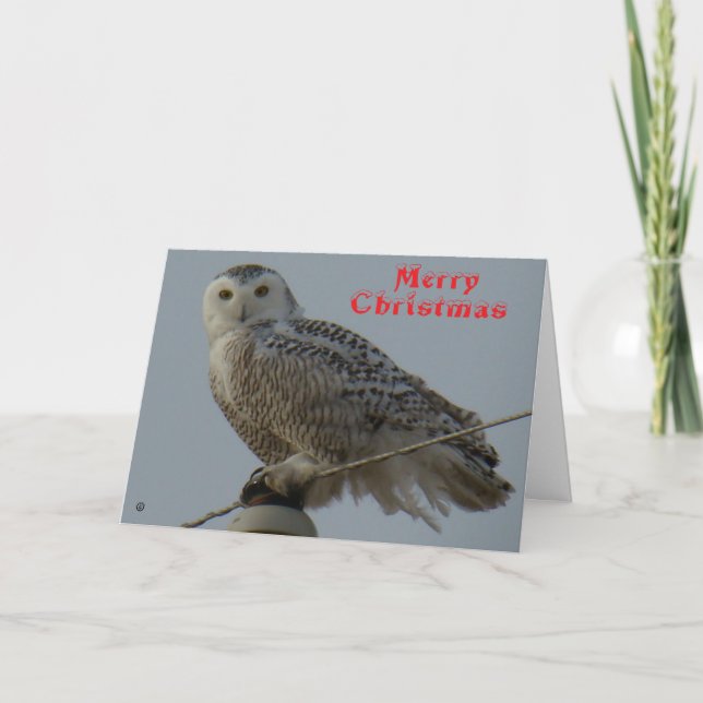 Remerciements Carte de Noël de la chouette blanche B38 (Devant)