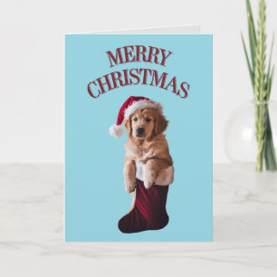 Remerciements Carte de Noël de vacances de Chien de Rétreiver do