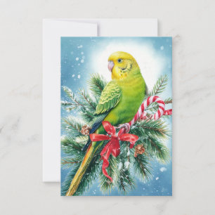 Remerciements Carte de Noël Parakeet Sucre de canne