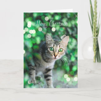 Remerciements Carte de Noël personnalisée Cute Kitten