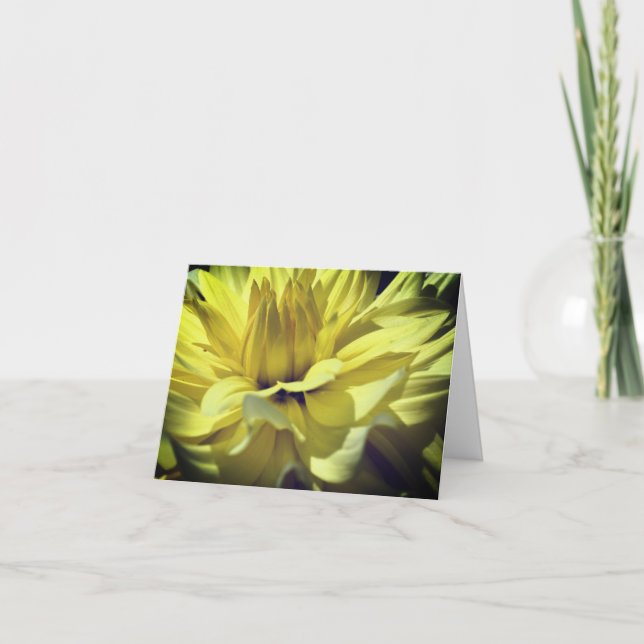 Remerciements Carte de note blanche Fleur Dahlia Jaune (Devant)