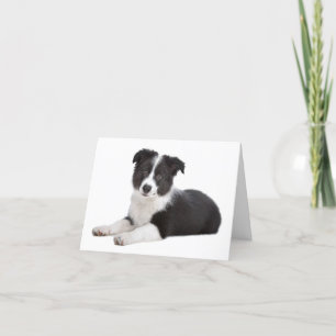Remerciements Carte de note blanche pour chien coquelicot à la f
