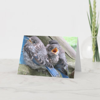 Remerciements Carte de note Bluebird