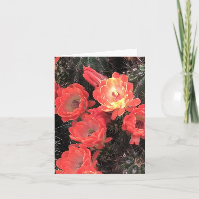 Remerciements Carte de note Cactus Sunset Coral Blossoms (Devant)