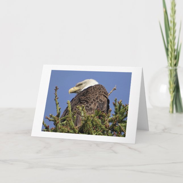 Remerciements Carte de note climatique Nature (Devant)