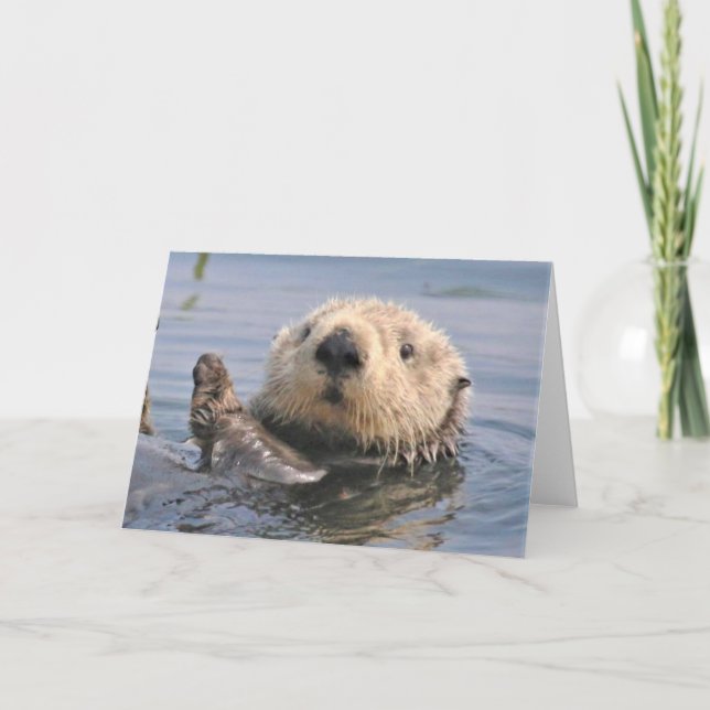 Remerciements Carte de note climatique Nature (Devant)