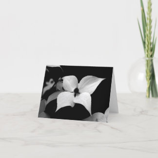 Remerciements Carte de note - cornouiller de B/W