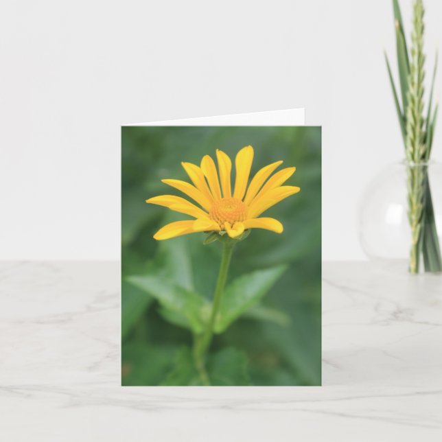 Remerciements Carte de note de Fleur Jaune Solitaire (Devant)