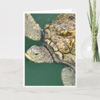 Remerciements Carte de note de la tortue verte<Blank Card>