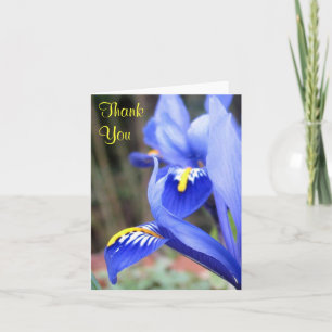 Remerciements carte de note de remerciement aux pétales d'iris