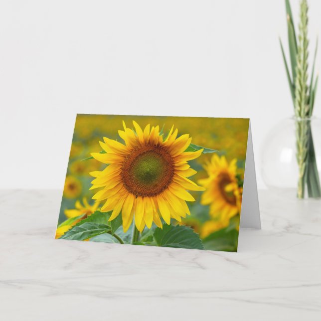 Remerciements Carte de note en blanc de tournesol (Devant)