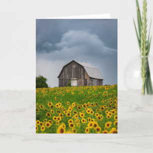Remerciements Carte de note en blanc sur la tempête de tournesol