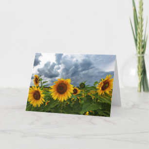 Remerciements Carte de note en blanc sur la tempête de tournesol