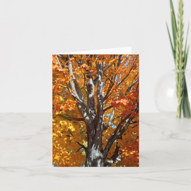 Remerciements Carte de note Ombres de l'arbre d'automne (Devant)