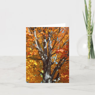 Remerciements Carte de note Ombres de l'arbre d'automne