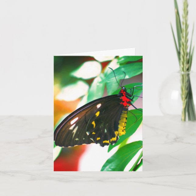 Remerciements Carte de note personnalisable Black Butterfly Natu (Devant)