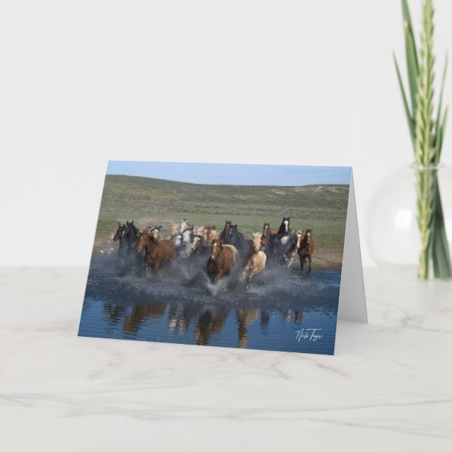 Remerciements Carte de note Splash ! (Devant)