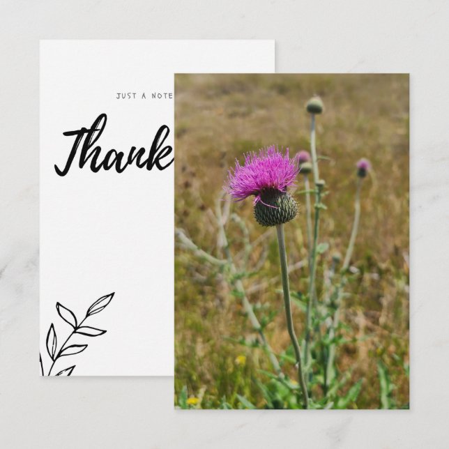 Remerciements Carte de note Thistler Thank You (Devant / Derrière)