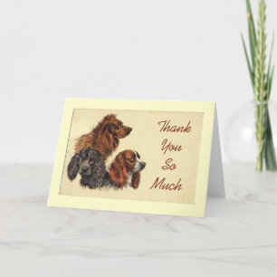 Remerciements Carte de notes Spanials Thank You