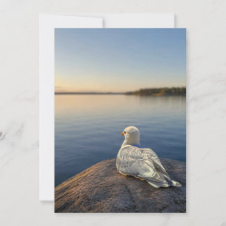 Remerciements Carte de photographie de mouette, cadeau de nature
