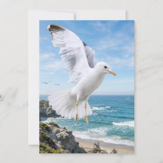 Remerciements Carte de photographie de mouette, cadeau de nature