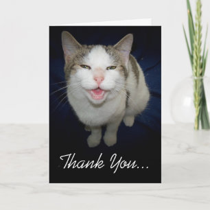 Remerciements Carte de remerciement Chat Sourire