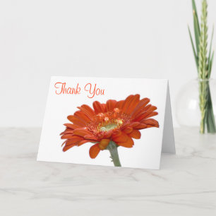 Remerciements Carte de remerciement de mariage - Gerbera Marguer