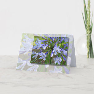 Remerciements Carte de remerciement élégante bleu Agapanthus pou