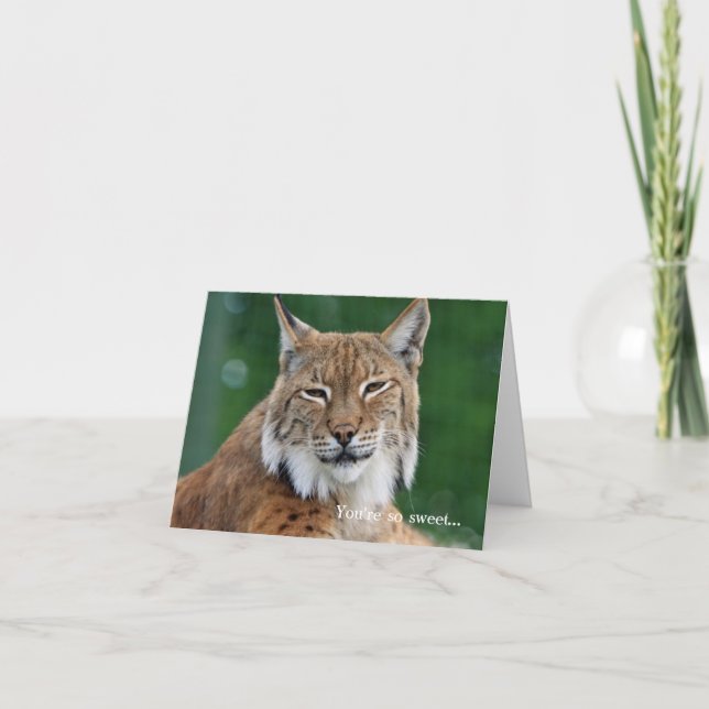 Remerciements Carte de remerciement personnalisée Bobcat (Devant)