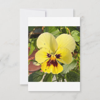 Remerciements Carte de remerciement plate avec photo de fleur de