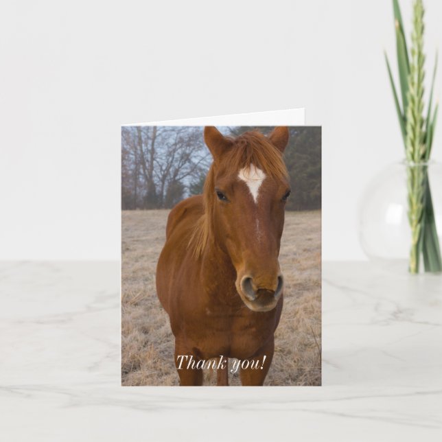 Remerciements Carte de remerciement Pose de cheval (Devant)
