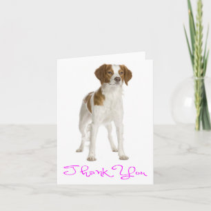 Remerciements Carte de remerciement pour chiot Brittany Spaniel