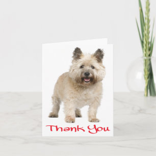 Remerciements Carte de remerciement rouge pour chiot Cairn Terri