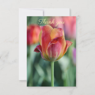Remerciements Carte de remerciement Tulipe Joyeuse