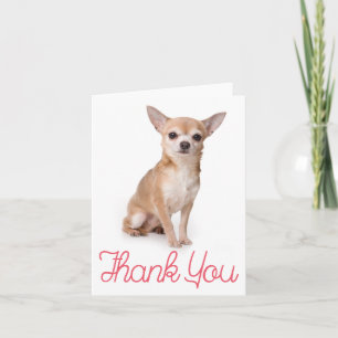 Remerciements Carte de remerciement vierge Chien Chihuahua chiot