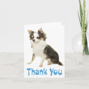 Remerciements Carte de remerciement vierge Chien Chihuahua Puppy