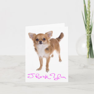 Remerciements Carte de remerciement vierge Chien Chihuahua Puppy