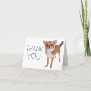 Remerciements Carte de remerciement vierge Chien Chihuahua Puppy