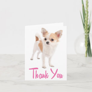 Remerciements Carte de remerciement vierge Chien Chihuahua Puppy